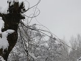 Wintereinbruch - 31.jpg